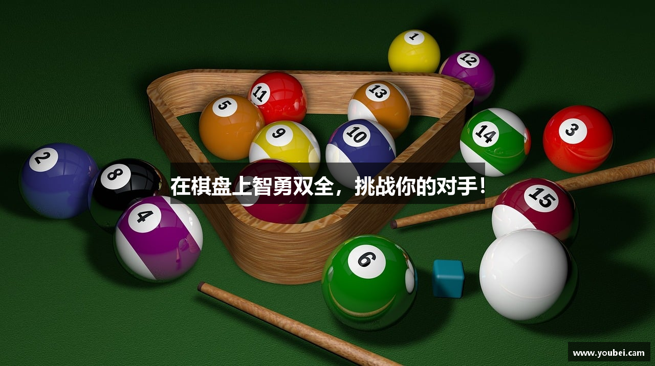 在棋盘上智勇双全，挑战你的对手！